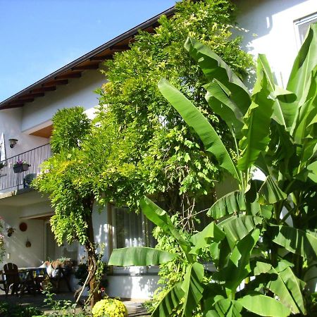 Ferienzimmer Immenstaad อิมเมนชตาด อัม โบเดนเซ ภายนอก รูปภาพ